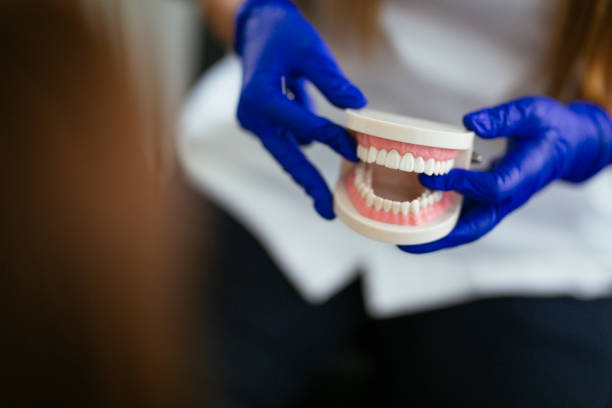 Best General Dentistry  in Christmas, FL